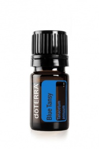 Blue Tansy