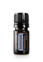 Spikenard